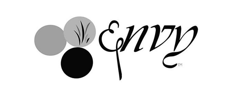 Envy